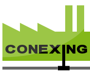 conexing - Logo for the joint project with IBG